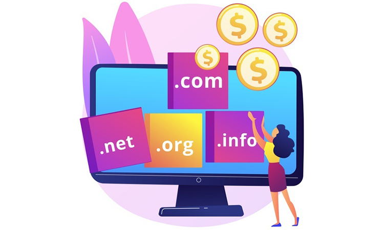 Domain Registration & Hosting